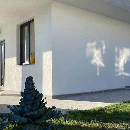 Lola Seaview Guest House. Уютный Домик В Варне Varna Ngoại thất bức ảnh