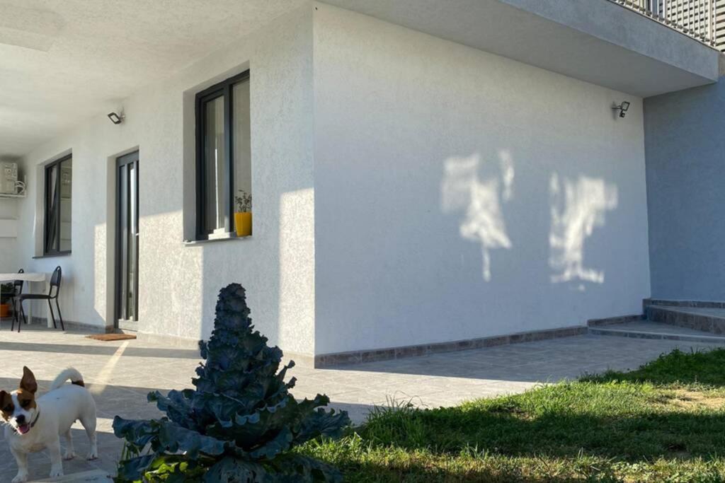 Lola Seaview Guest House. Уютный Домик В Варне Varna Ngoại thất bức ảnh